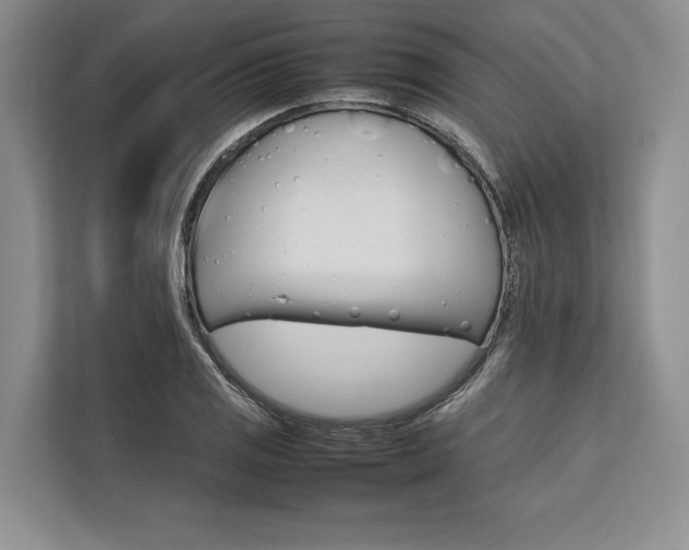 X0000113751125200909231126