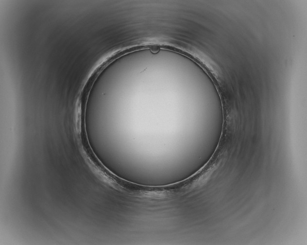 X0000113751126200909231126
