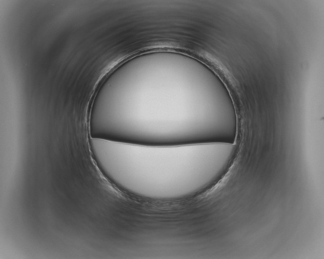 X0000113751129200909231126
