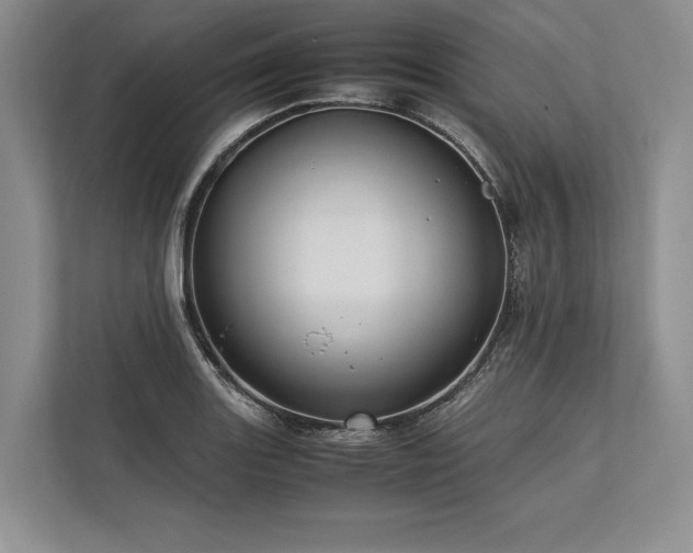 X0000113751131200909231126