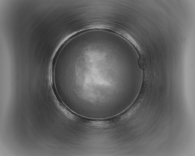 X0000113751132200909231126
