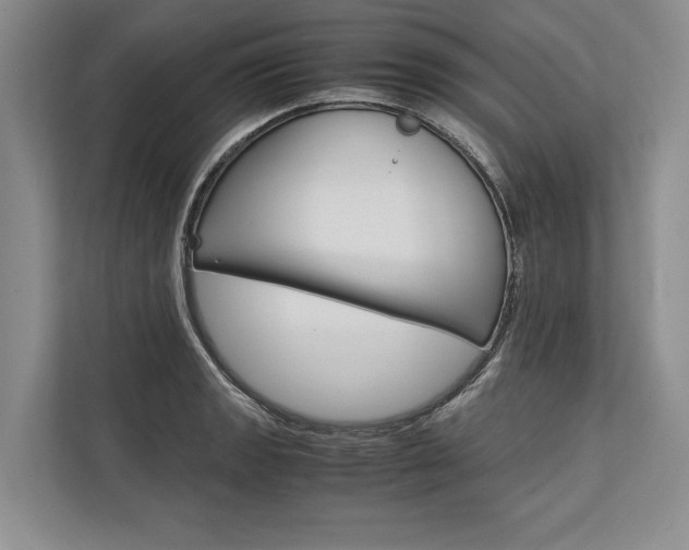 X0000113751133200909231126