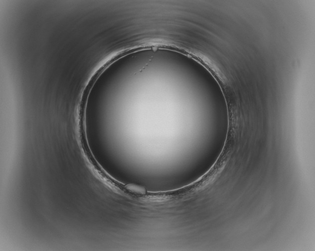 X0000113751134200909231126