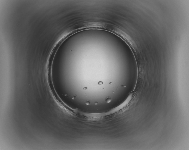X0000113751135200909231126