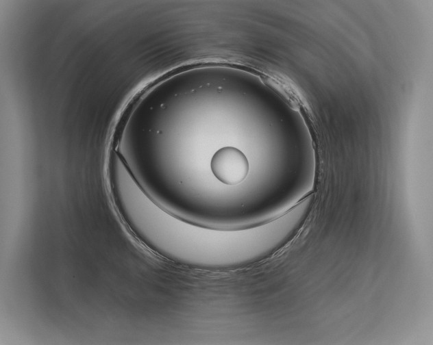 X0000113751136200909231126