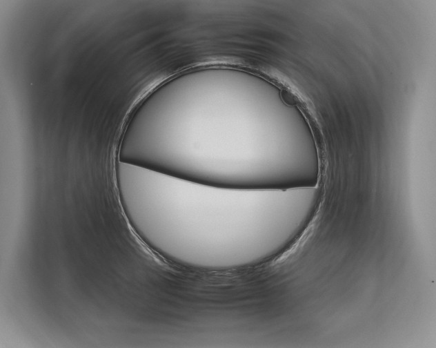 X0000113751137200909231126