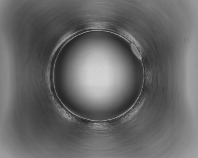 X0000113751138200909231126