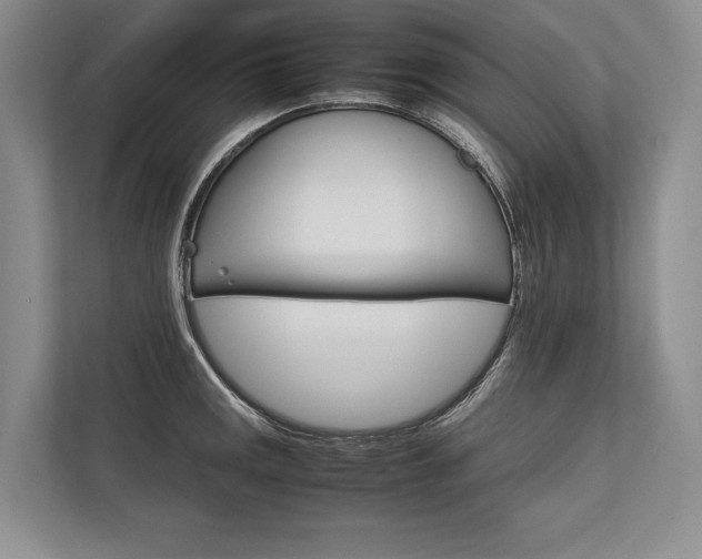 X0000113751141200909231126