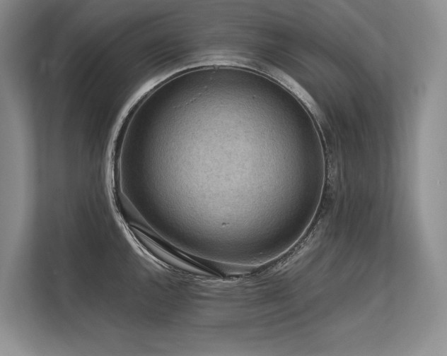 X0000113751144200909231126