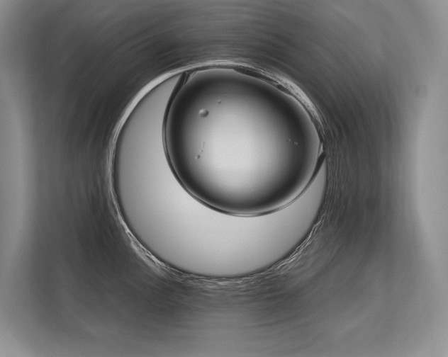 X0000113751148200909231126