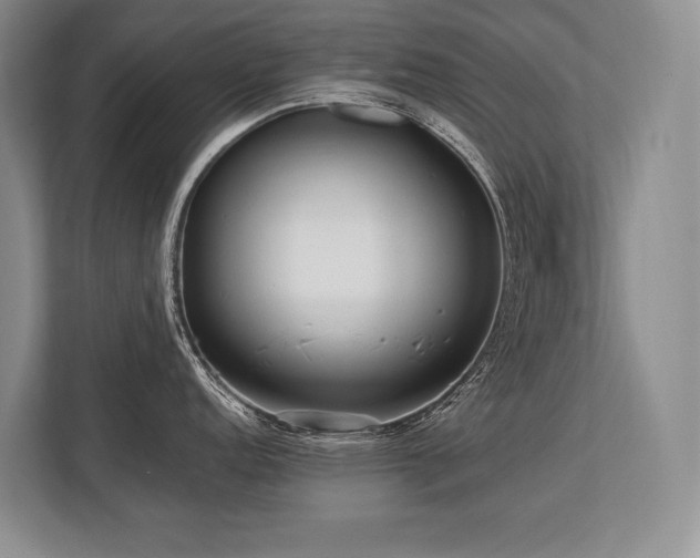 X0000113751152200909231126