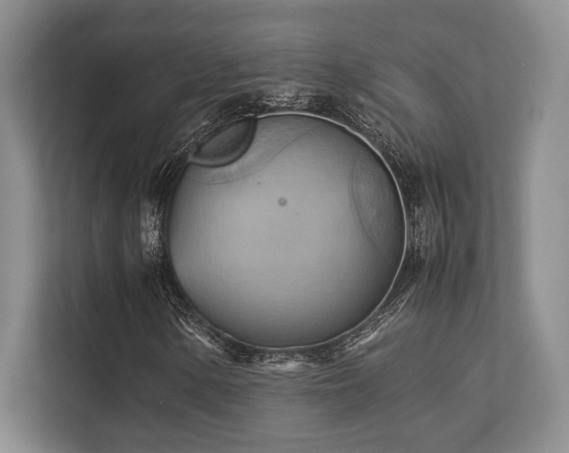 X0000113751154200909231126