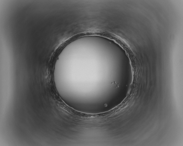 X0000113751160200909231126