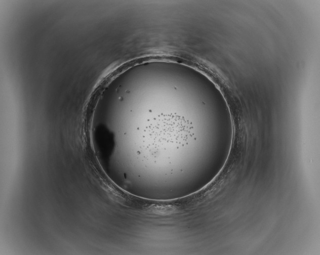 X0000113751168200909231126