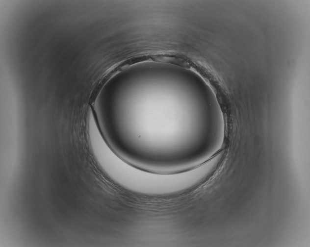 X0000113751169200909231125