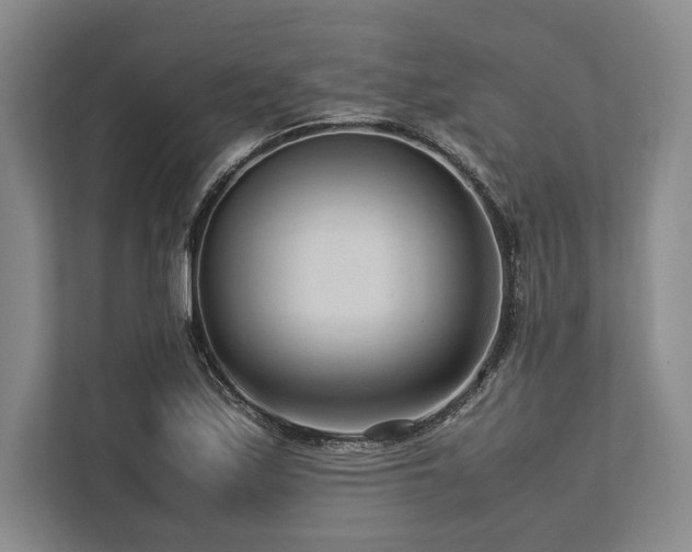 X0000113751171200909231125