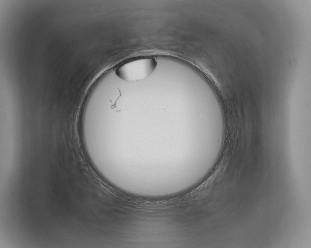 X0000113751173200909231125