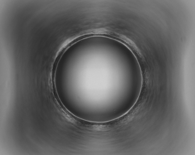 X0000113751176200909231125