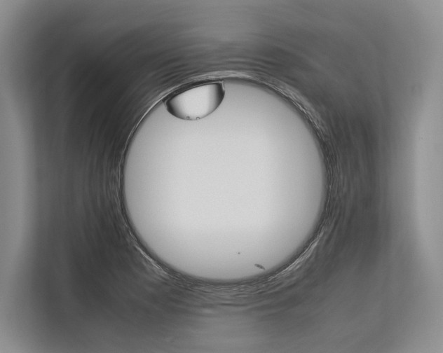 X0000113751177200909231125