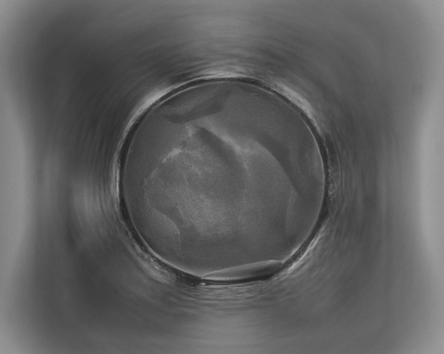X0000113751179200909231125