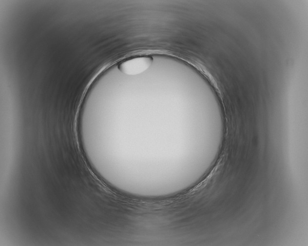 X0000113751181200909231125