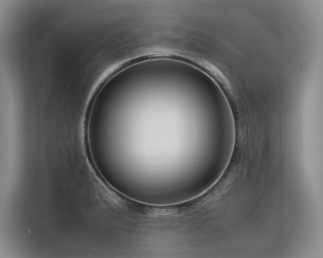 X0000113751183200909231125