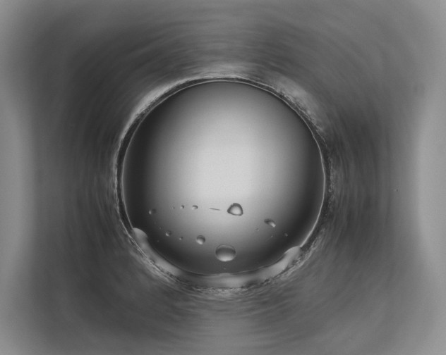 X0000113751184200909231125