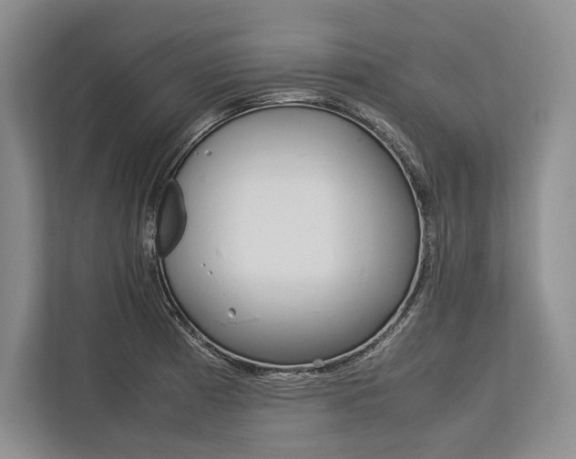 X0000113751185200909231125