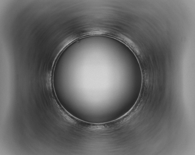 X0000113751186200909231125
