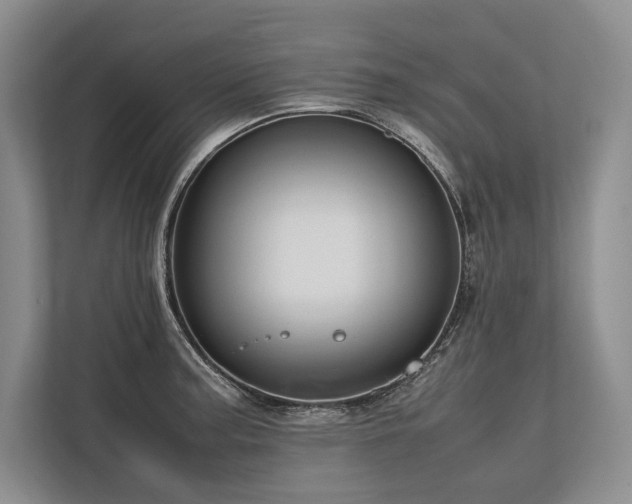 X0000113751187200909231125