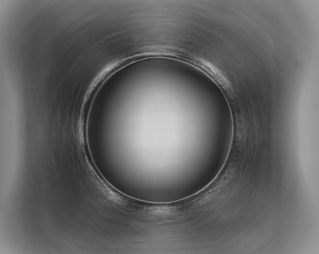X0000113751188200909231125