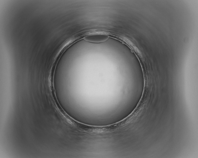 X0000113751189200909231125