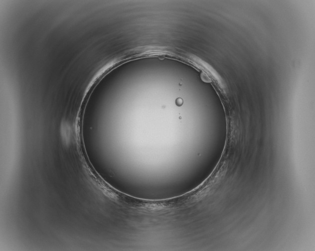 X0000113751190200909231125