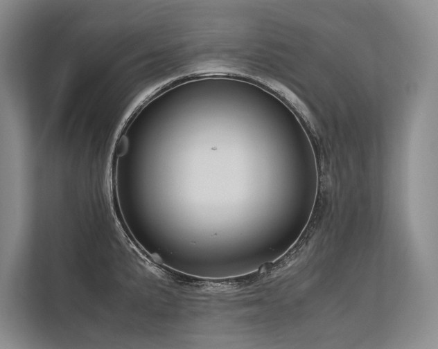 X0000113751191200909231125