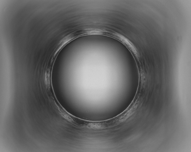 X0000113751194200909231125