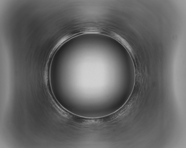 X0000113751195200909231125