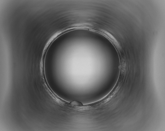 X0000113751196200909231125