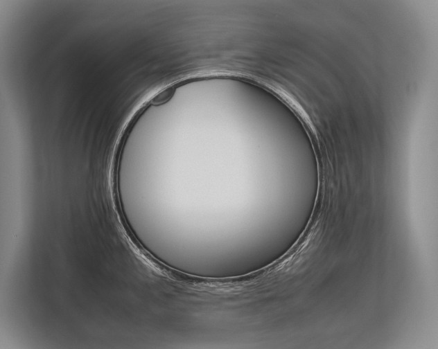 X0000113751197200909231125