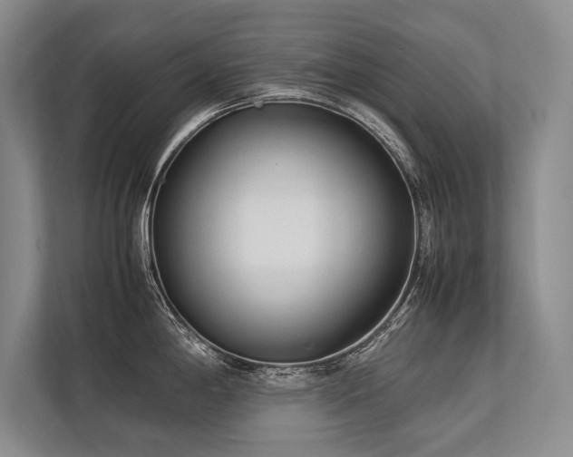 X0000113751198200909231125