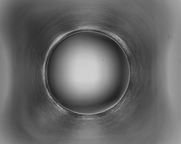 X0000113751199200909231125