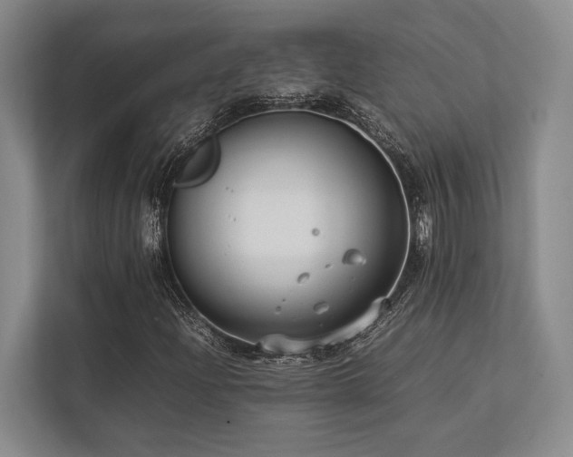 X0000113751204200909231125
