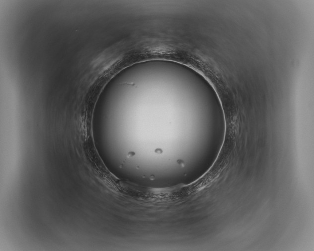 X0000113751205200909231125