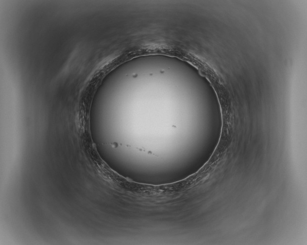 X0000113751207200909231125
