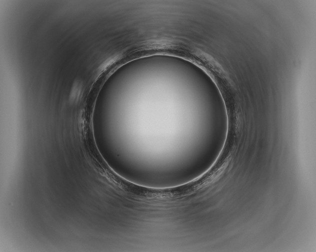 X0000113751210200909231125