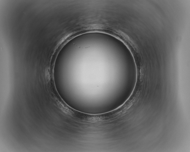 X0000113751212200909231125