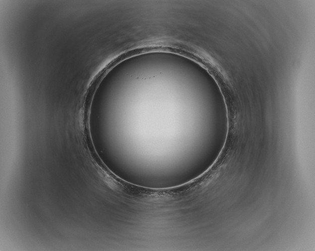 X0000113751216200909231125