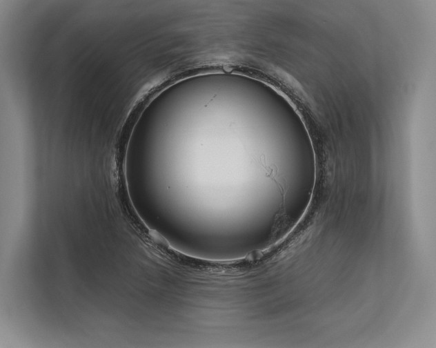 X0000113751218200909231125