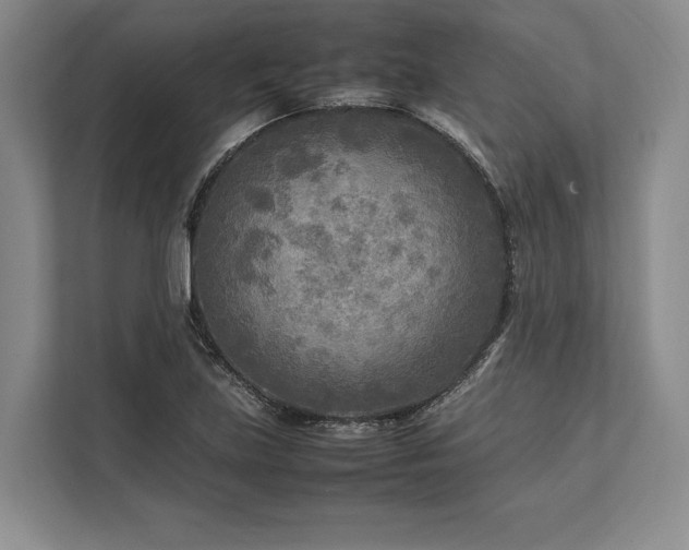 X0000113751219200909231125