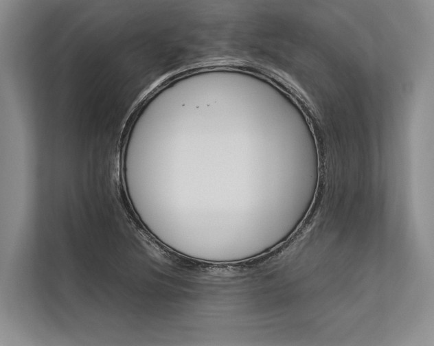 X0000113751220200909231125