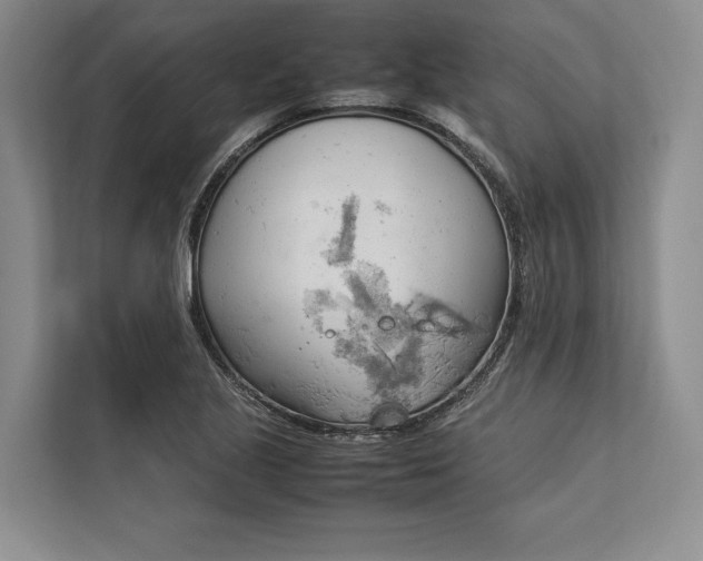 X0000113751221200909231125